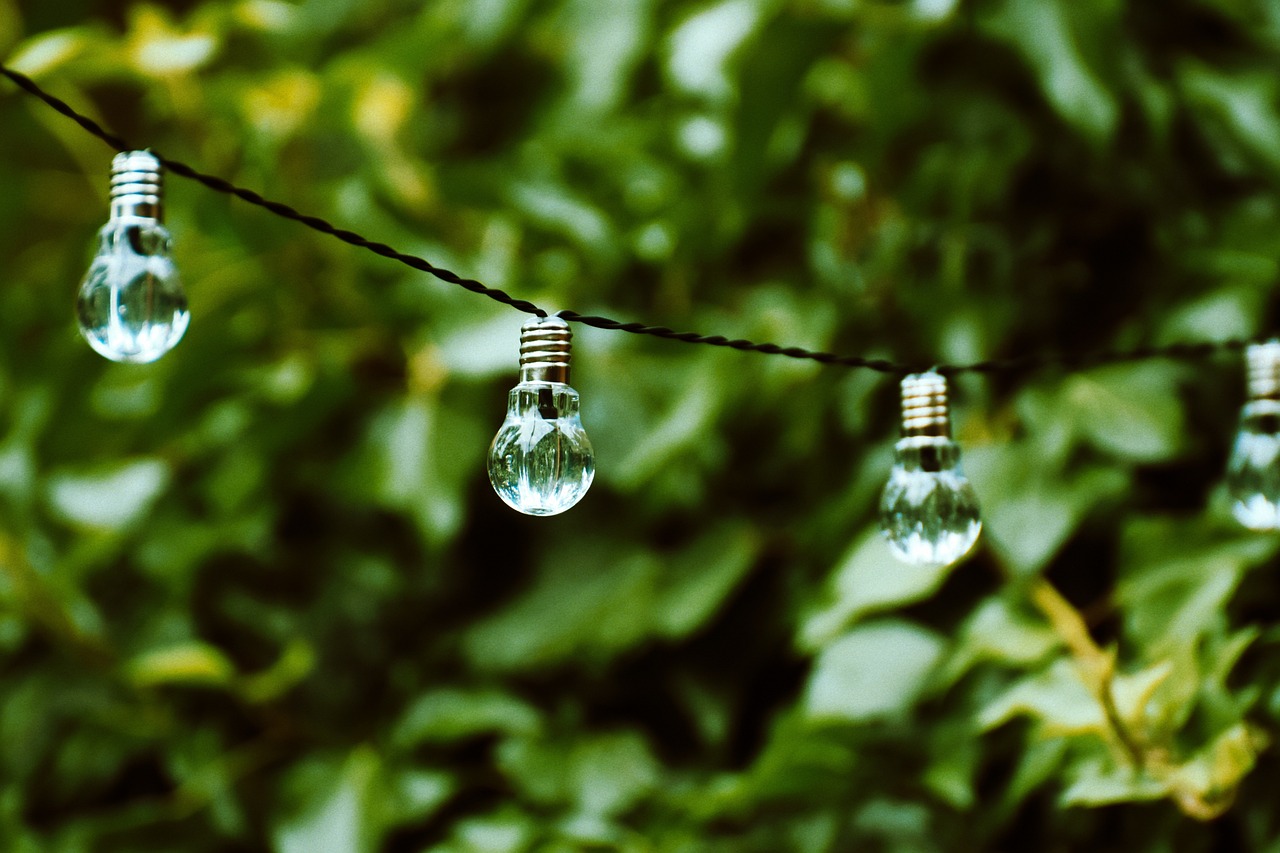 Best Tips for Creating a Sustainable Garden